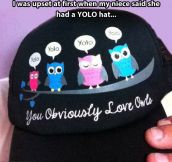 This is the YOLO I like…