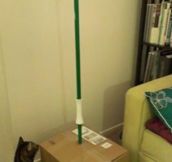 So I ordered a broom online…