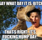 Say what day it is…