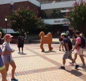 Hump day on campus…