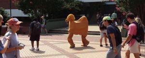 Hump day on campus…