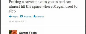 Carrot Facts…