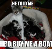 Forever resentful cat mom…