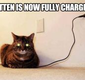 Charging kitty…