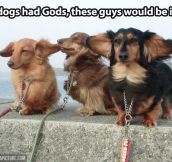 If dogs had gods…