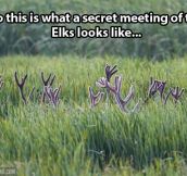 A secret meeting…