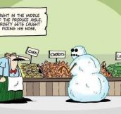 Frosty goes to the supermarket…