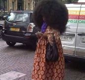 That is one huge afro…