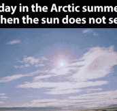A day in the Arctic summer…