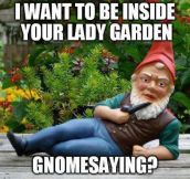 If garden gnomes could speak…