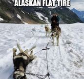Emergency in Alaska…