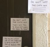 Cat lady leaves some notes…