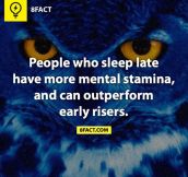 Night Owls…