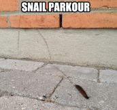 Extreme snail…