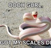 Sassy snake…