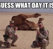 Guess what day…