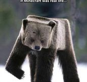 If Minecraft was real…