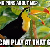 Don’t tease the toucans…