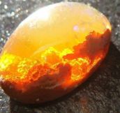 Fire Opal… which looks like SUNSET IN A ROCK