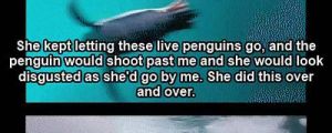 Photographer vs. deadly leopard seal…