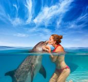 The dolphin kiss…