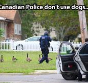 Canadian police uses a different approach…