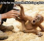 By far the best Nicolas Cage creation…