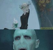 Voldemort’s sister…
