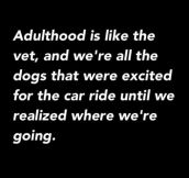 Adulthood is like the vet…