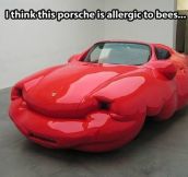 Allergic Porsche…