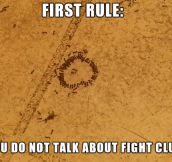 Ant Fight Club…