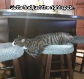 Just the right spot…
