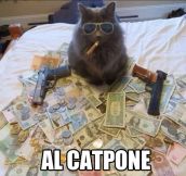 Al Catpone…