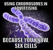 Using chromosomes in ads…