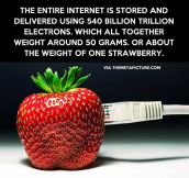 The whole Internet in one strawberry…