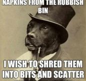 Gentleman dog has a request…