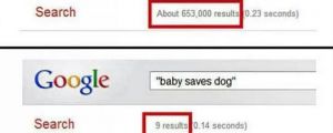Proven: Dogs are better than babies…