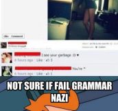 Grammar obsessed or clever troll…