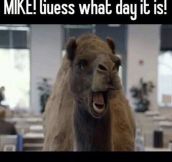 Hey there Mike!