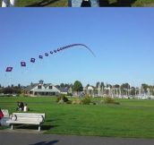 This old man made the coolest kite ever…