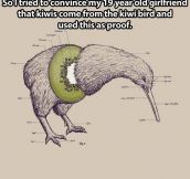 The truth about kiwis…