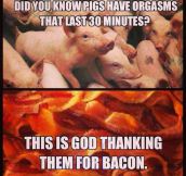 Pigs definitely deserve them…