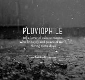 I’m a Pluviophile…
