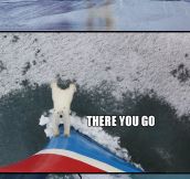 Good guy polar bear…
