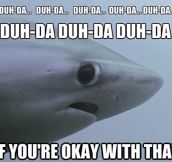 Scared shark…