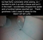 Spider surprise…