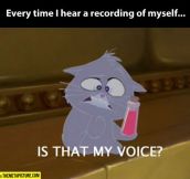 Every time I hear a recording of my voice…