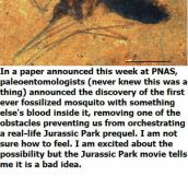 Jurassic Park begins now