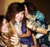 Replacing Booze With Kitties: Here’s How to Make Party Photos Family Friendly (15 Pics)