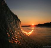 Sunset curving up a wave